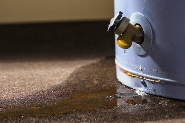 Best Ceiling water damage repair  in Anza, CA