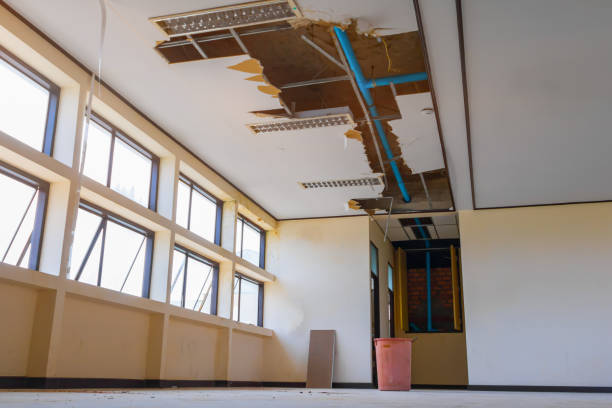  Anza, CA Water damage restoration Pros