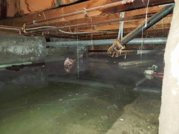 Best Water damage restoration near me  in Anza, CA