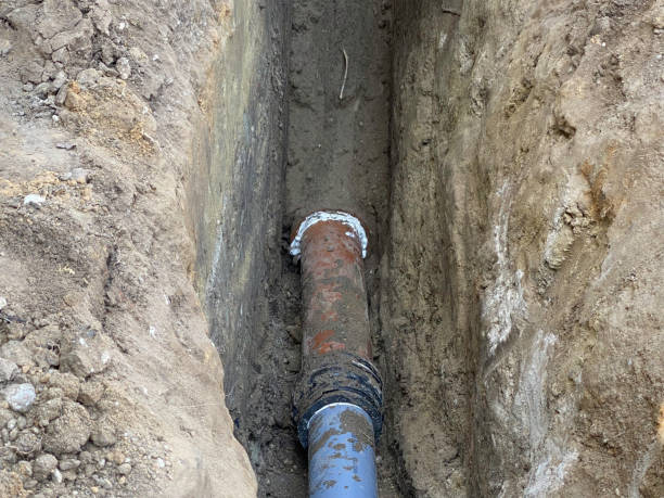 Best Flood restoration services  in Anza, CA