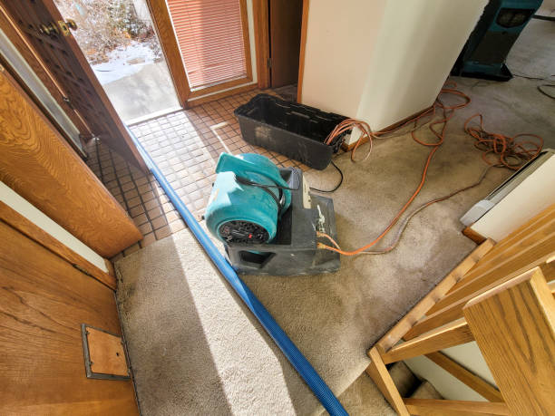 Best Fire Damage Restoration  in Anza, CA