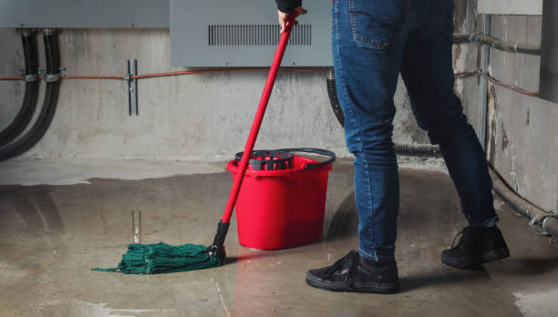 Best Water damage repair service  in Anza, CA