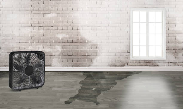 Best Sewage cleanup and water damage restoration  in Anza, CA