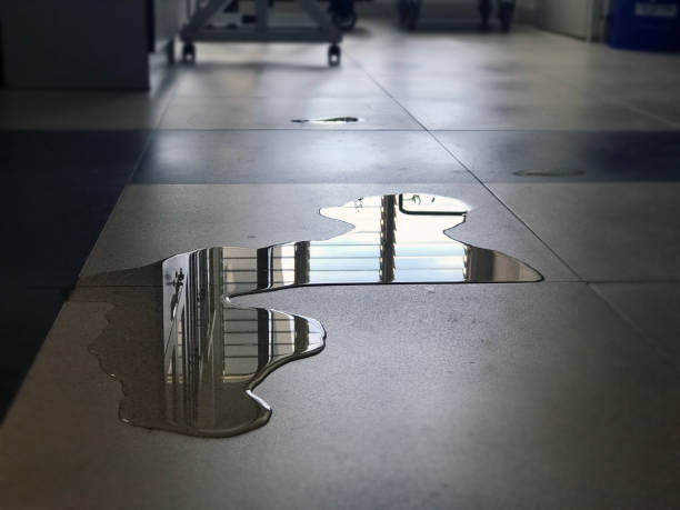 Best Professional water damage repair  in Anza, CA